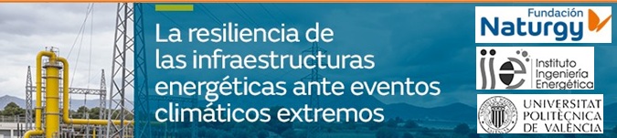ESTUDIO DEL IIE PARA LA FUNDACIÓN NATURGY – Presentación 18 Junio